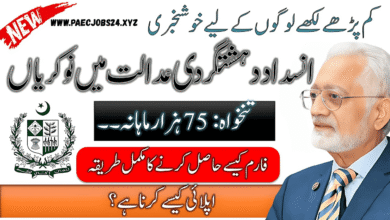 Anti Terrorism Court Jobs