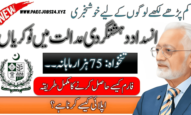Anti Terrorism Court Jobs