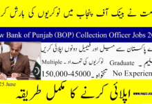 Bank of Punjab Jobs