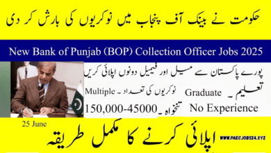 Bank of Punjab Jobs