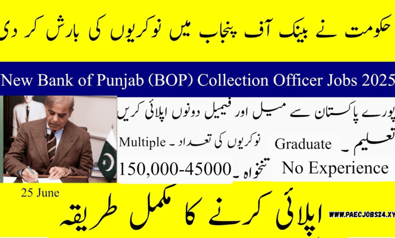 Bank of Punjab Jobs