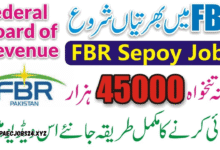 Pakistan Customs Jobs
