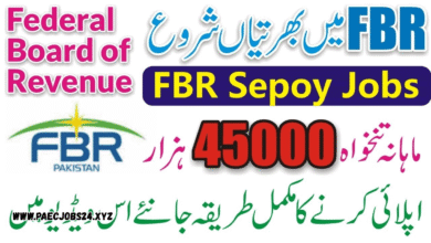 Pakistan Customs Jobs